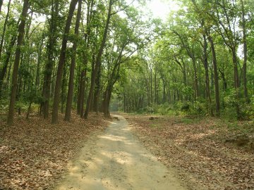 Jim Corbett